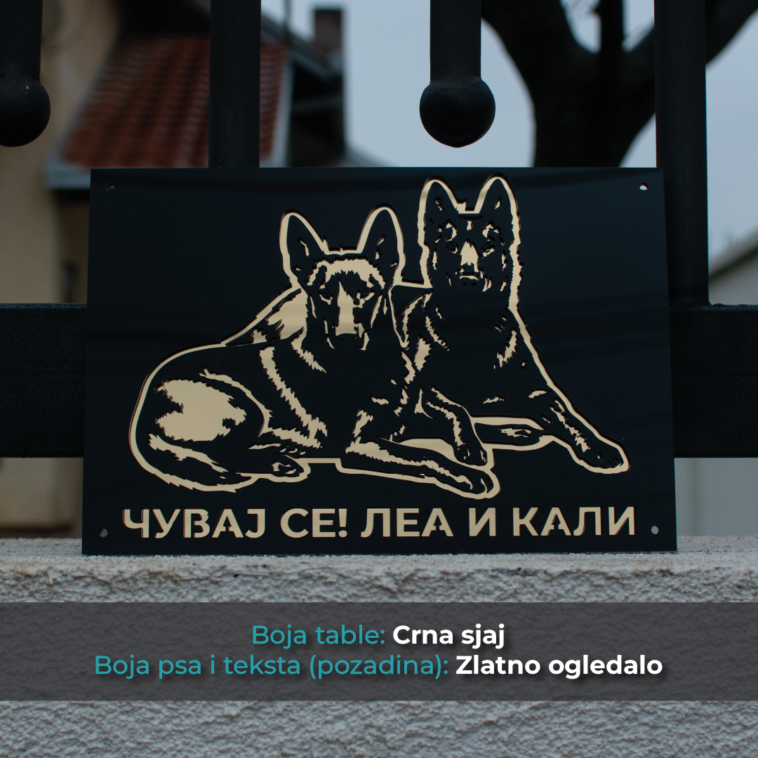 Belgijski ovčar x2 - Model 2