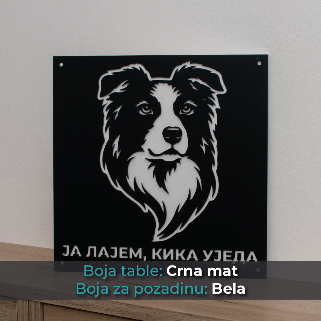 Border Collie - Model 1