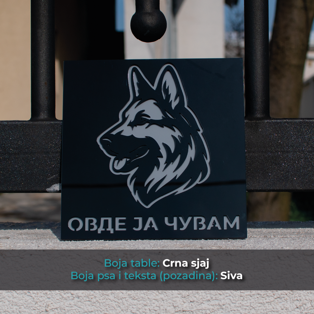 Nemački ovčar - Model 1