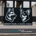 Nemački ovčar + Čivava - Model 1