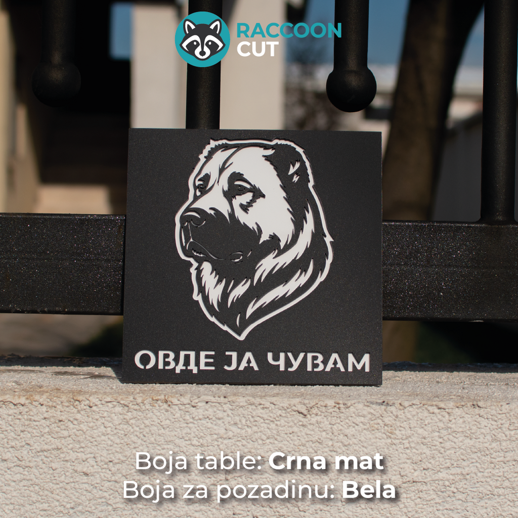 Ovde ja čuvam Model 9